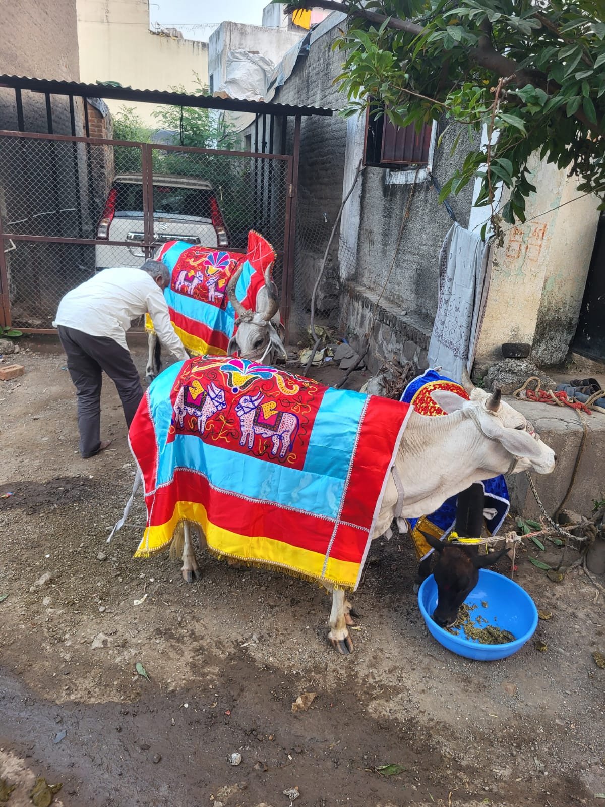 Spiritual Ritual Practice
